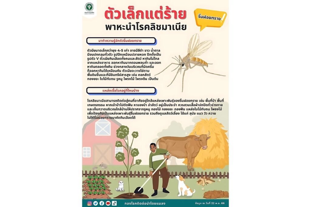 แมลงริ้นฝอยทราย