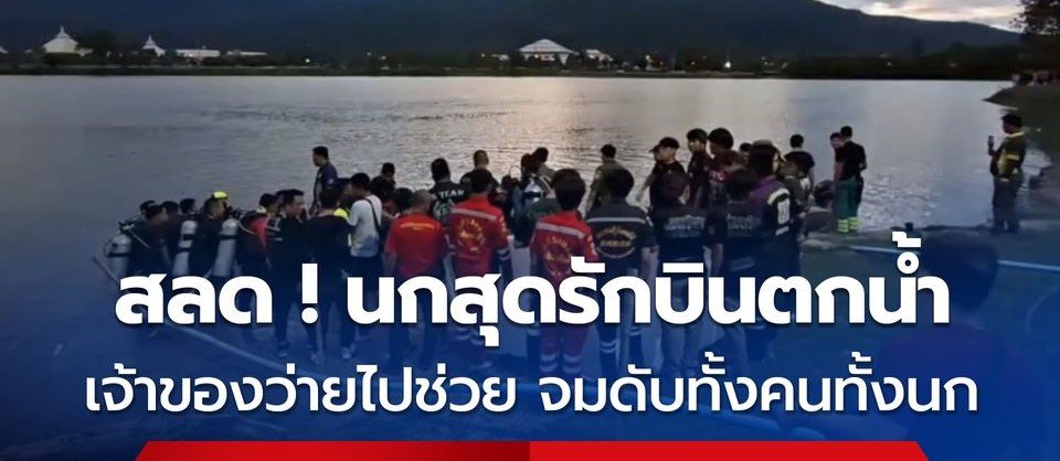 นกกระตั้วขาว