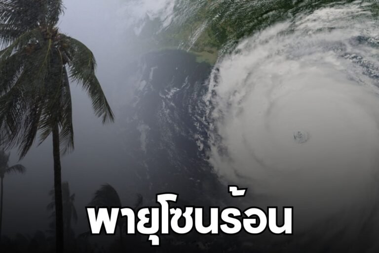 พายุโซนร้อน