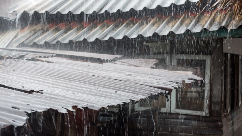 พายุฤดูร้อนล่าสุด