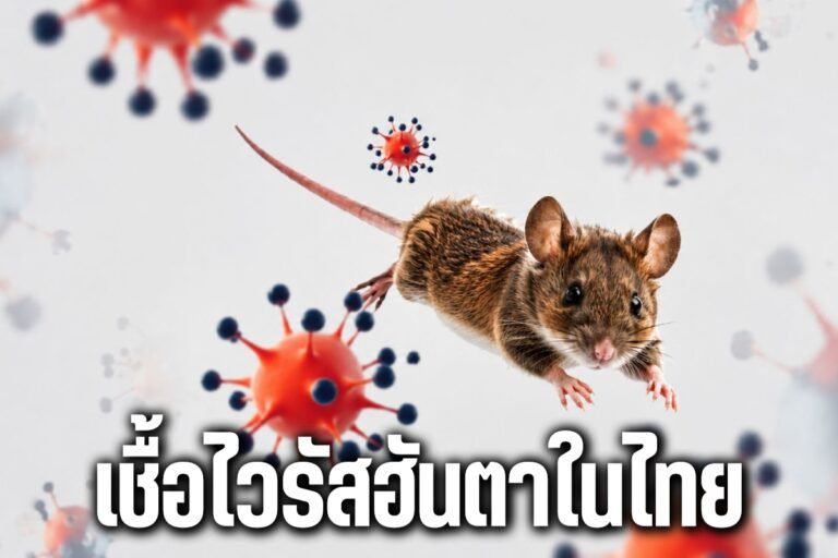เชื้อไวรัสฮันตา