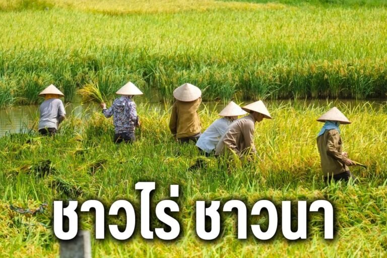 ชาวไร่ ชาวนา