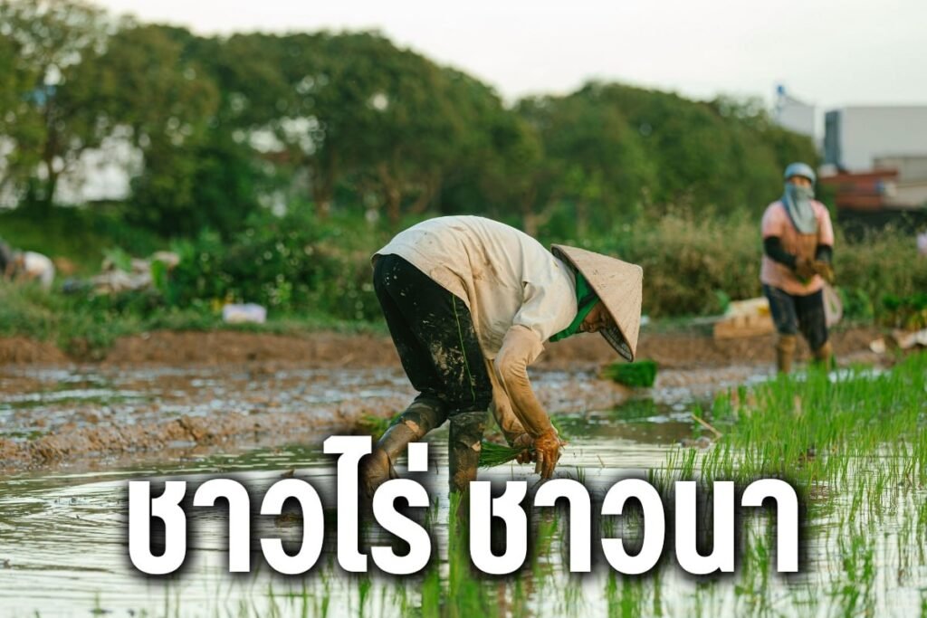 ชาวไร่ ชาวนา